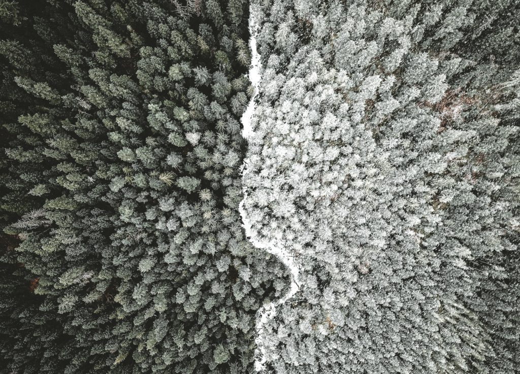 Understand PHP Modulo: Tricks with Division&nbsp;Remainders