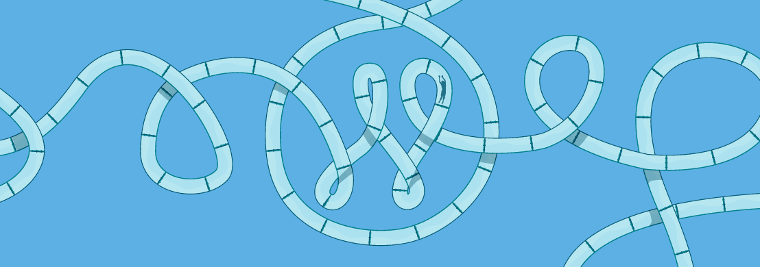 Fall, Or Matt in&nbsp;Hell